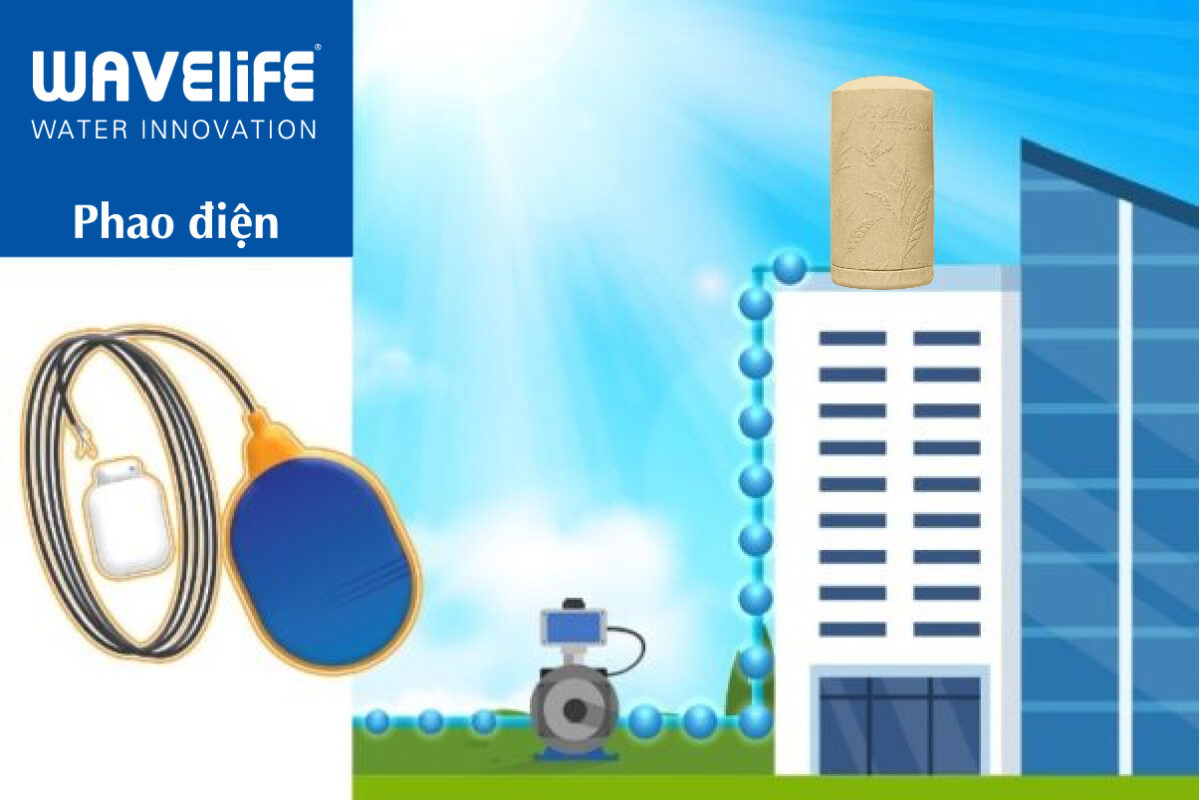 Cгўch Lбєїp дђбє T Phao Chб Ng Trг N Phгўn Biб T Phao Cжў Vг Phao дђiб N Wave