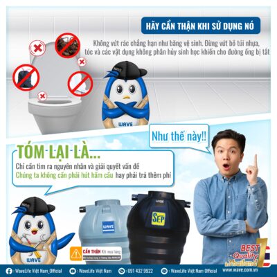 bon tu hoai wavelife