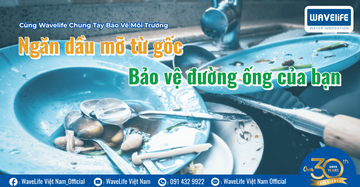 Ngăn dầu mỡ từ gốc – Bảo vệ đường ống của bạn